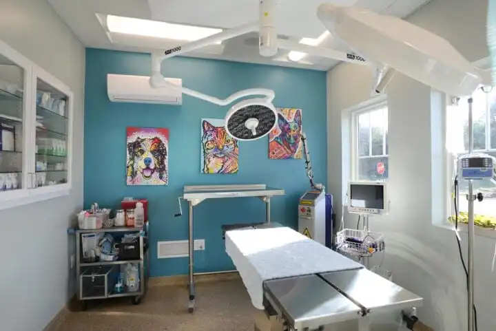 Town & Country Vet Surgery
