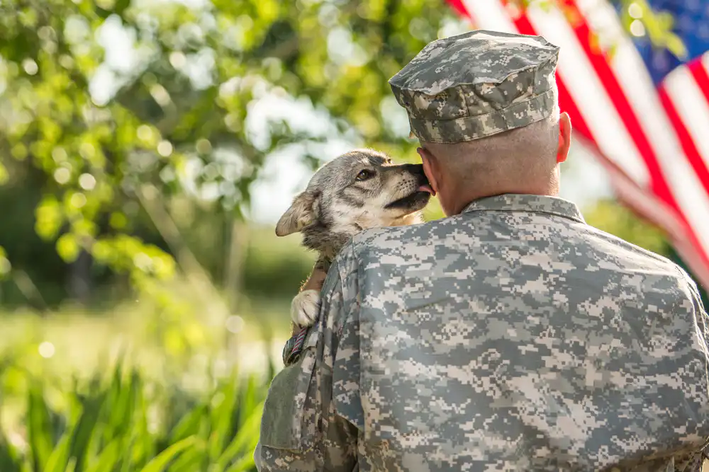 Military War Dogs