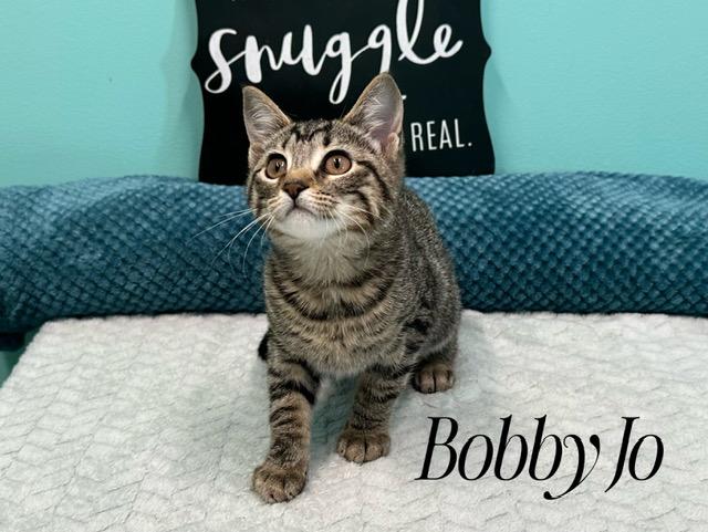 Bobby