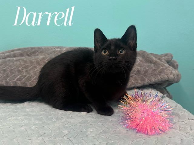 Darrel