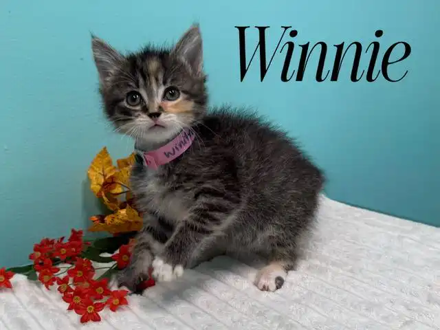 Winnie